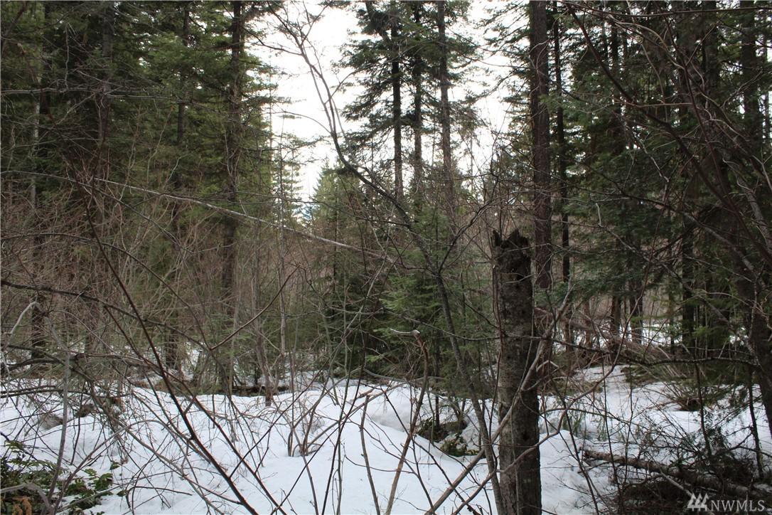 0 Spring Creek Rd - Photo 1
