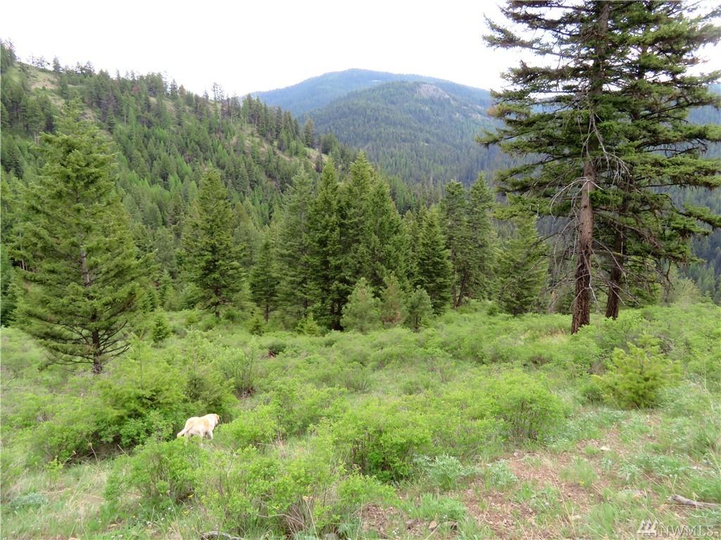 0-TBD Cougar Creek Rd - Photo 1