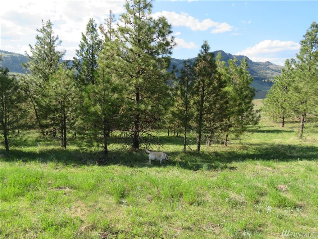 14 Big Hole Rd - Photo 1