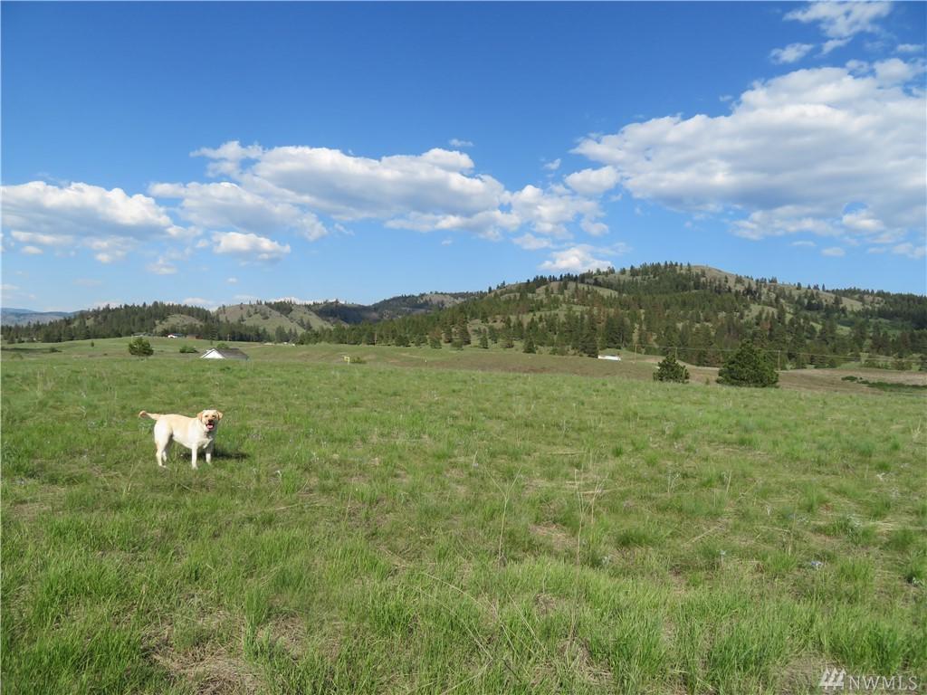 0-TBD Elizabeth View Lane - Photo 1