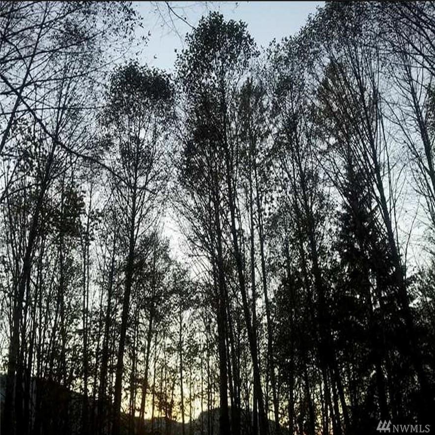 0 Butts Rd - Photo 1
