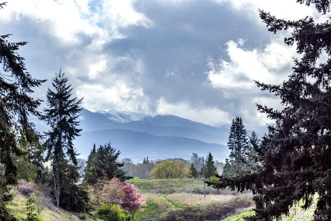 999-Lot 45 Woodland Dr - Photo 1