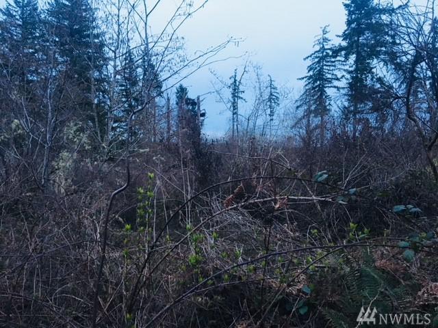 18617 State Rt 302 - Photo 1