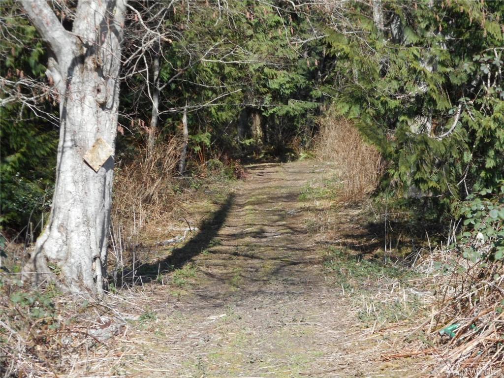 1979 Newman Road - Photo 1