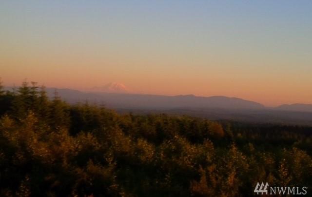 0-xxxxx King Lake Rd - Photo 1