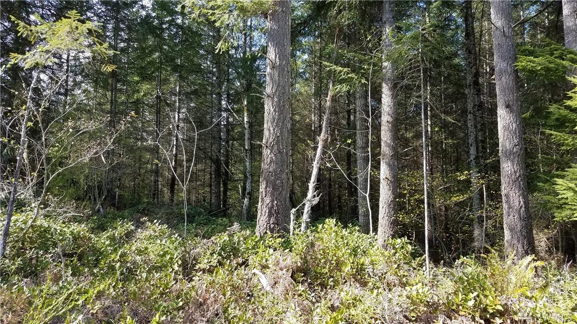 0-NE Hurd Rd - Photo 1