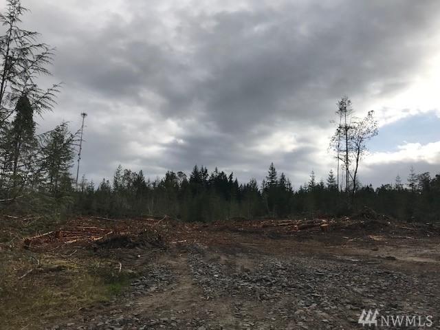 0 82nd St - Photo 1