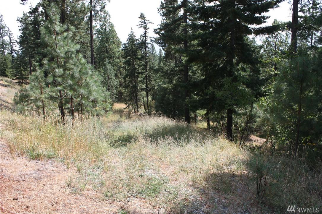 399-Lot E Indigo Lane - Photo 1