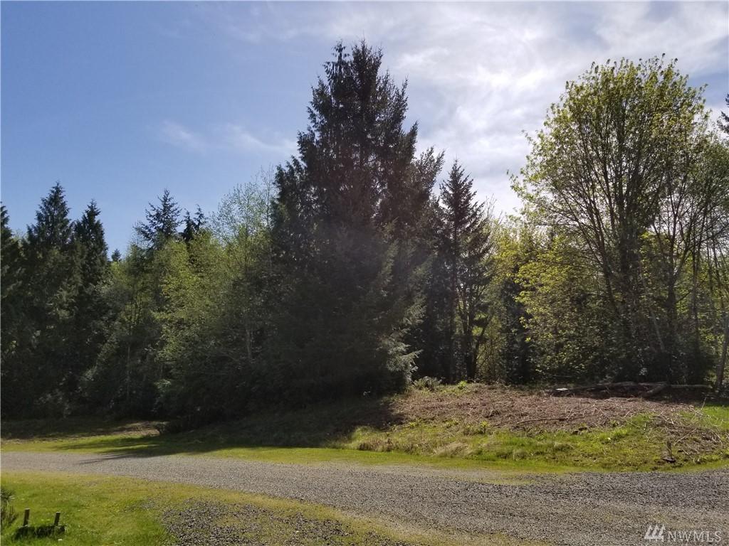 51 Mandy Lane - Photo 1