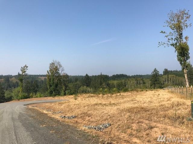 0 Lots B/D Yates Rd - Photo 1