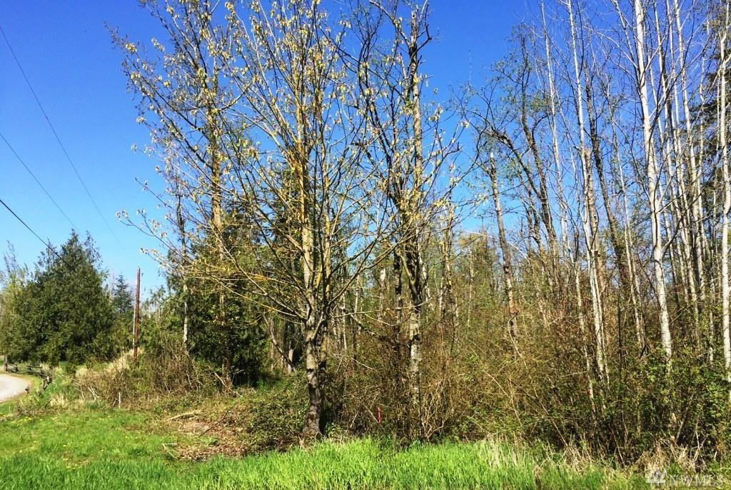 0 Lindsay Rd - Photo 1