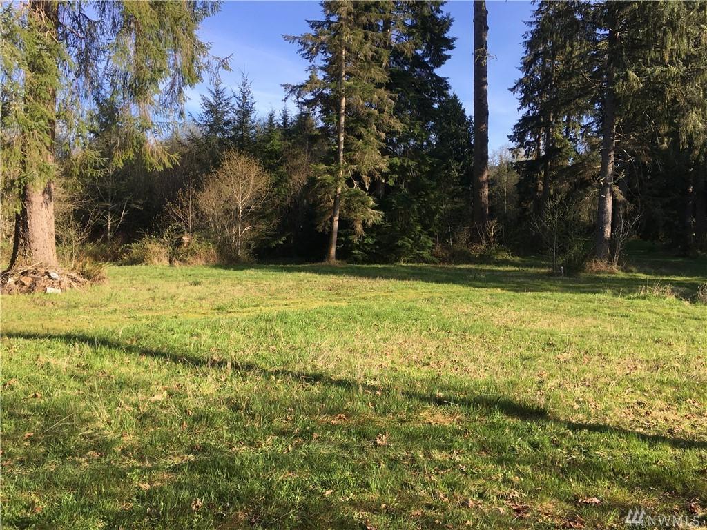 0 Spruce Place - Photo 1