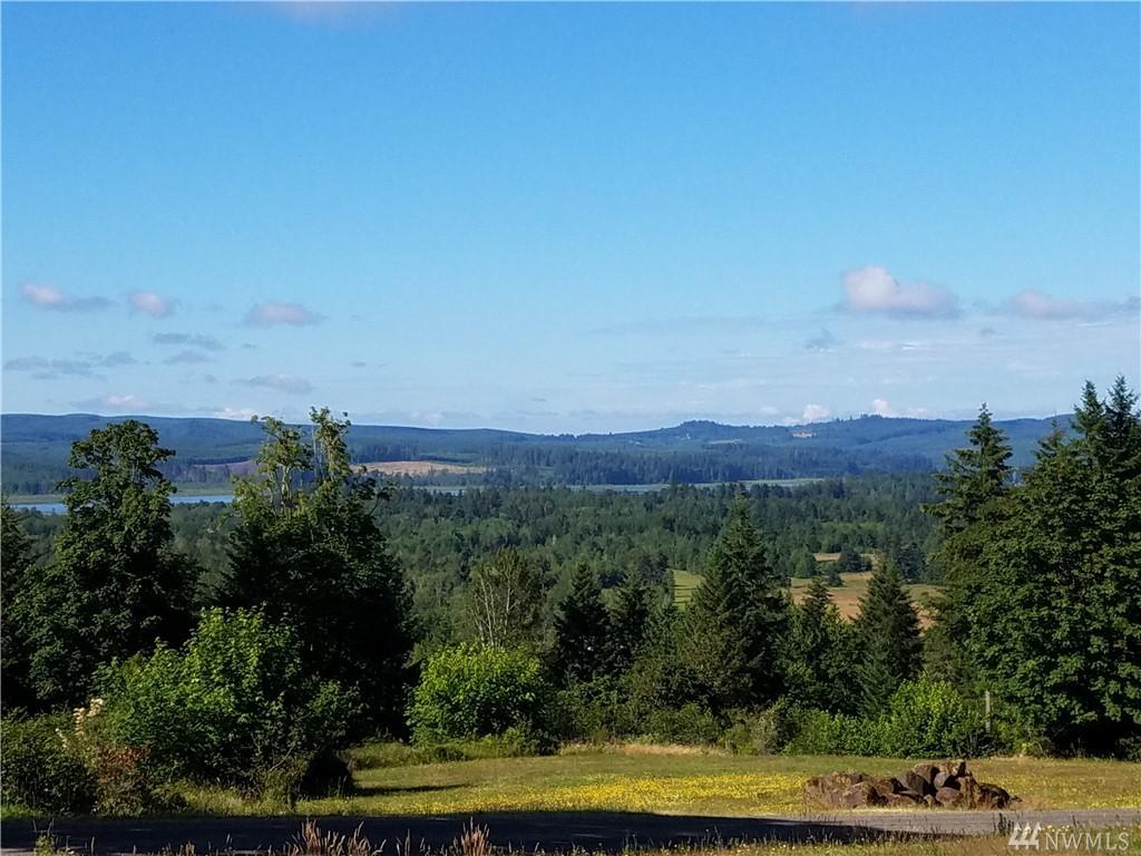 601 Shadow Mountain - Photo 1