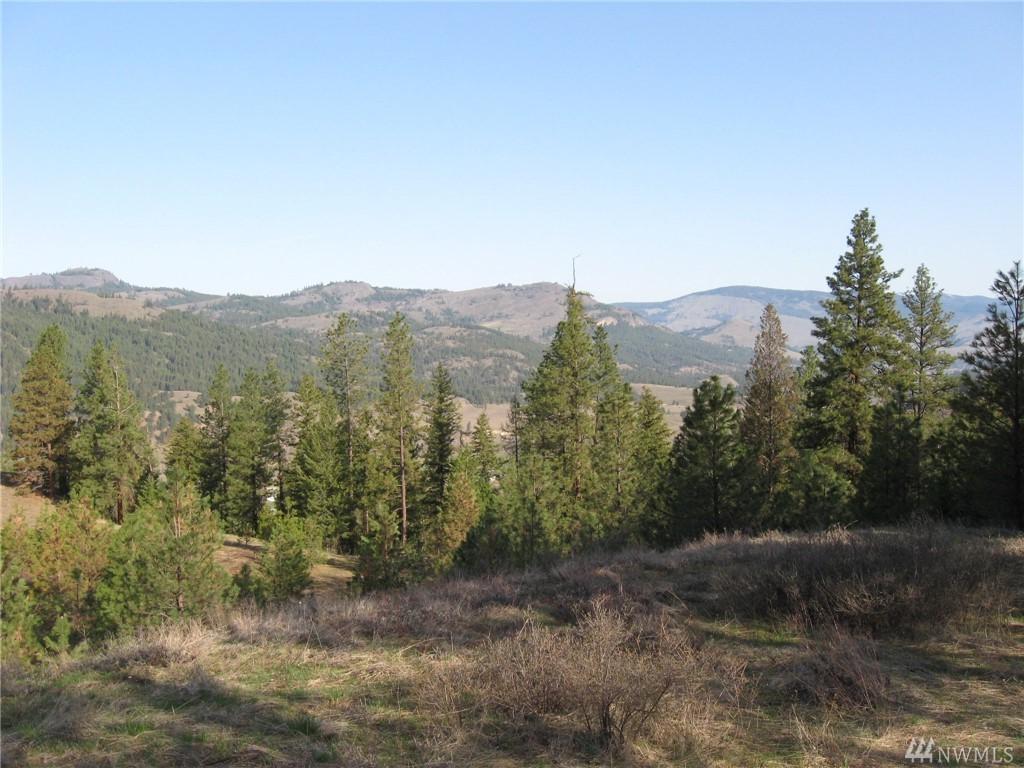 197 Art Creek Rd - Photo 1
