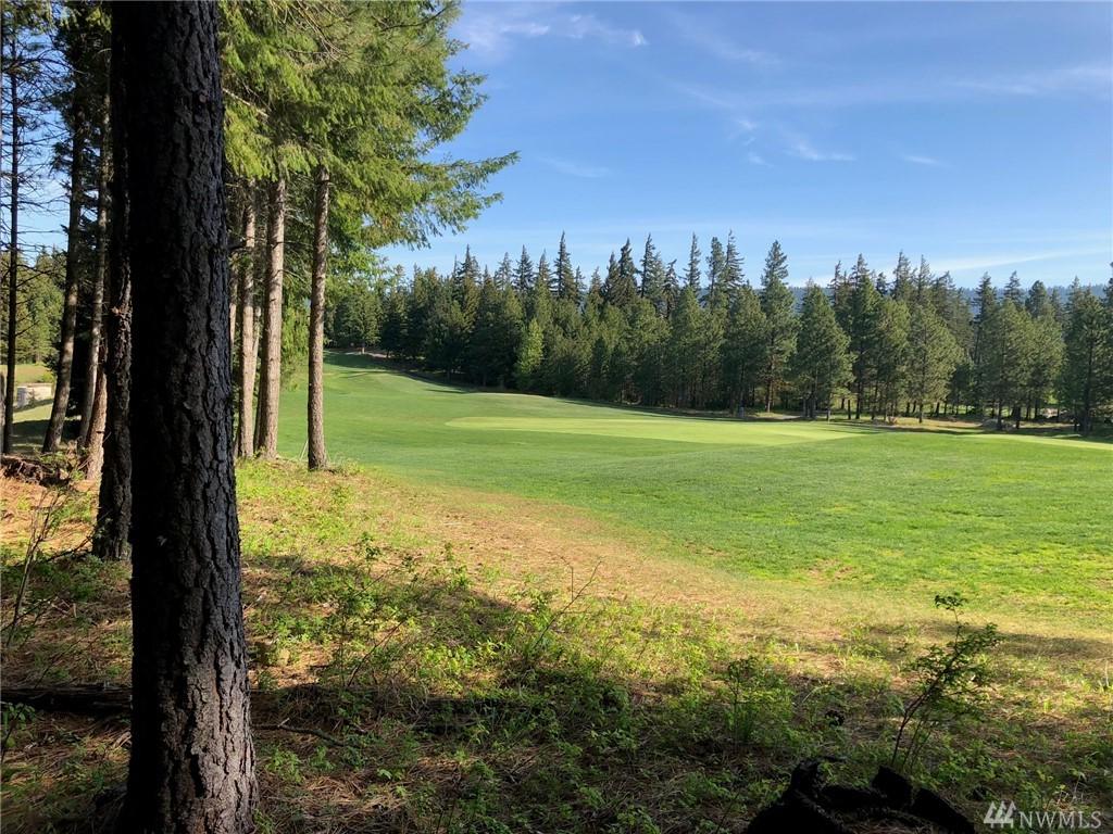 1521 Pinegrass Lp - Photo 1