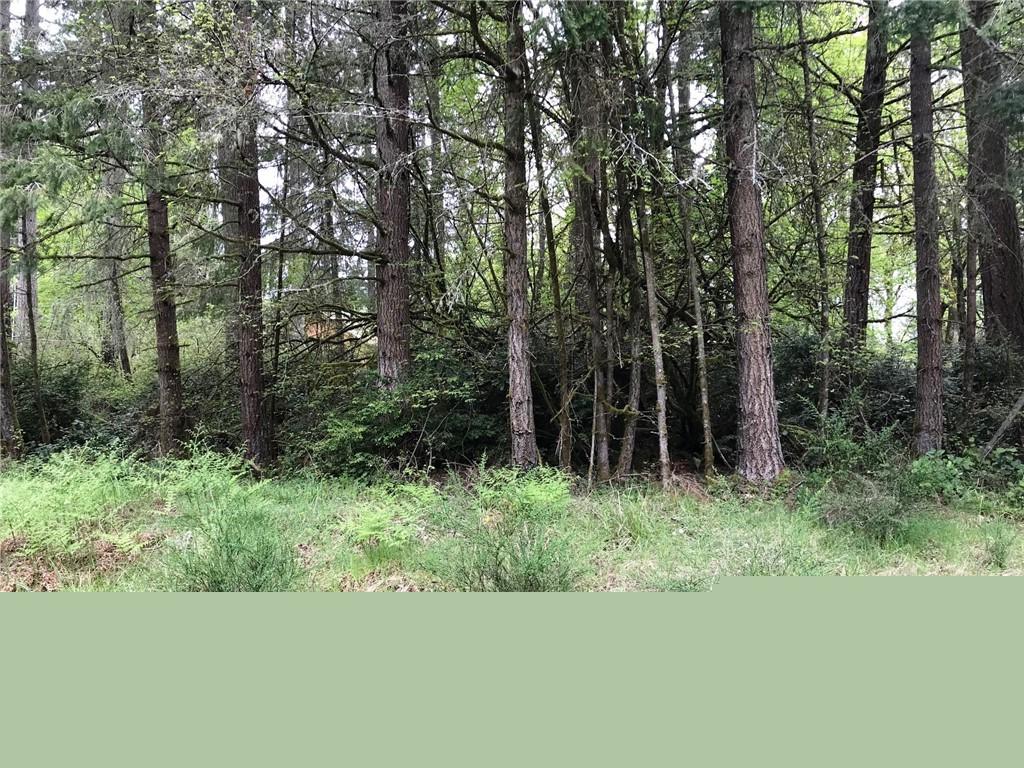 12619 Silver Dr - Photo 1