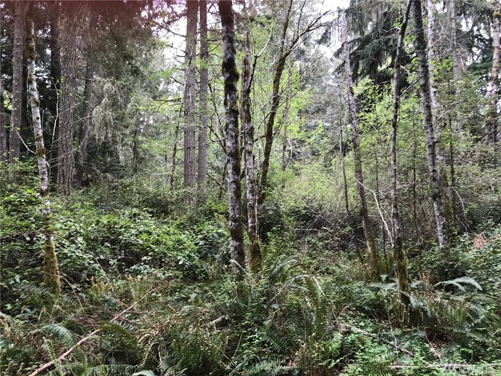 13710 Kress Dr - Photo 1