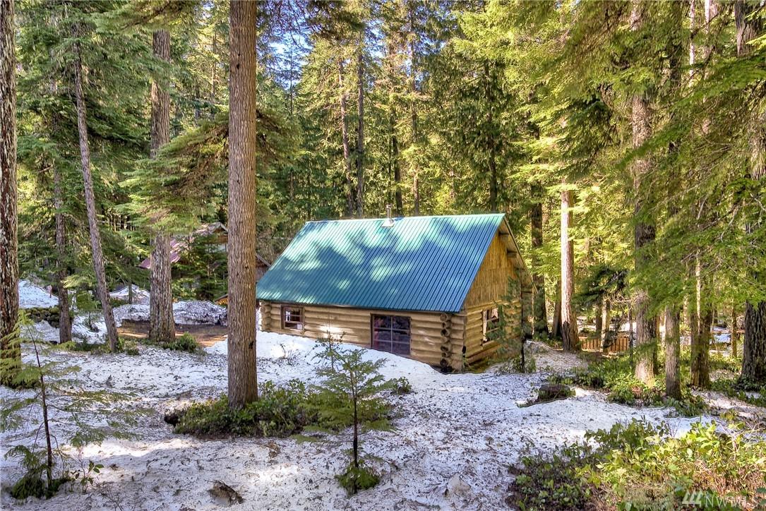 115 Silver Springs Usfs - Photo 1