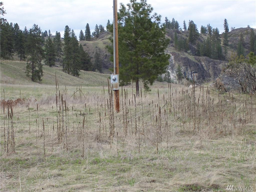 9999 Rincon Rd - Photo 1