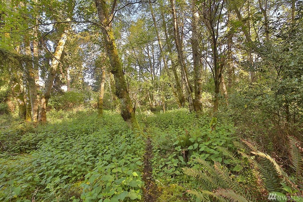 0-XXX Sandy Point Rd - Photo 1