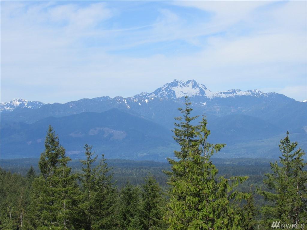 20-acres Green Mtn. Rd - Photo 1