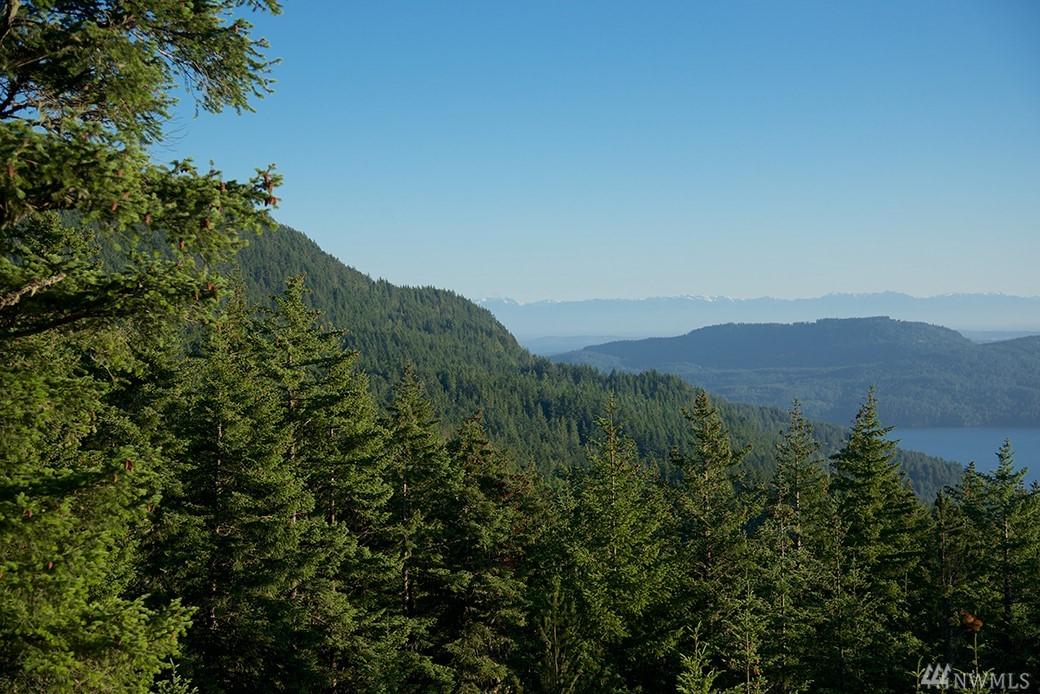 0 Lot 32 Buck Mountain Rd - Photo 1