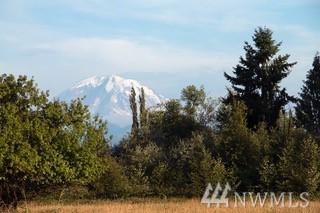 372 Xx 236th Ave - Photo 1