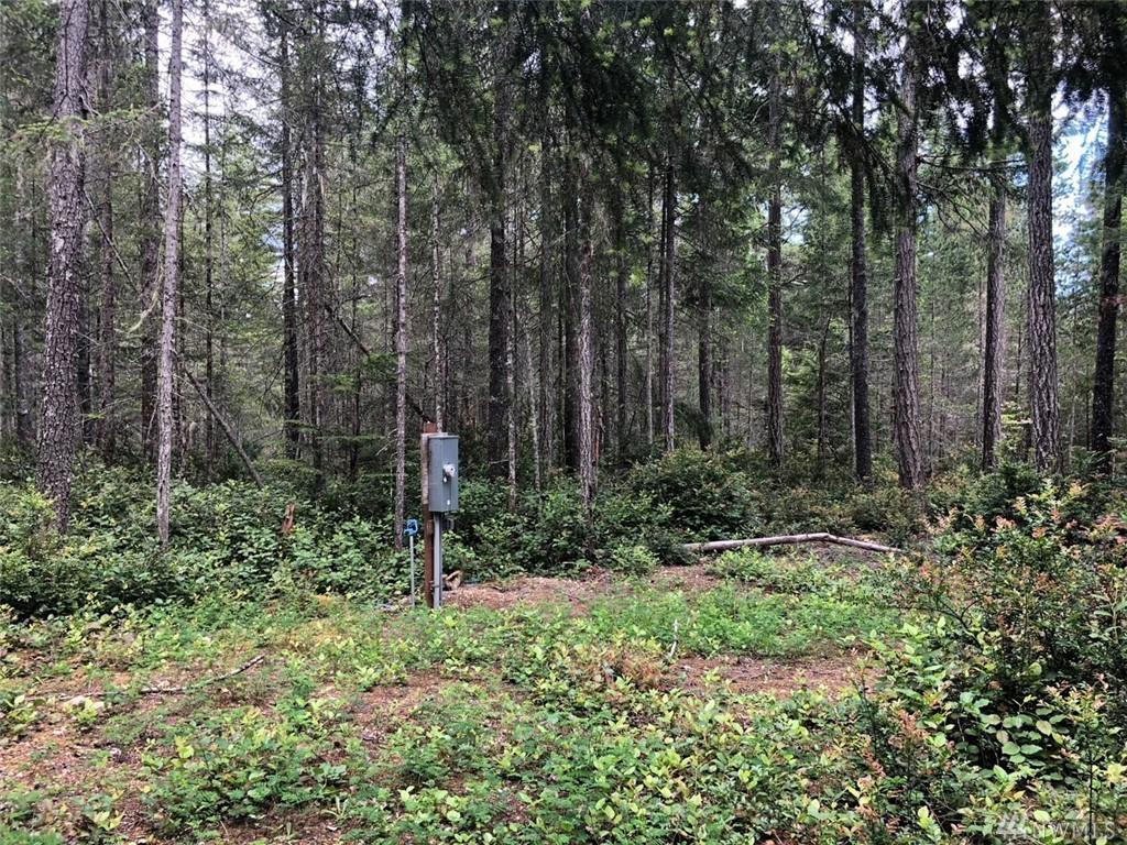 11-XXX Timber Tides Rd - Photo 1