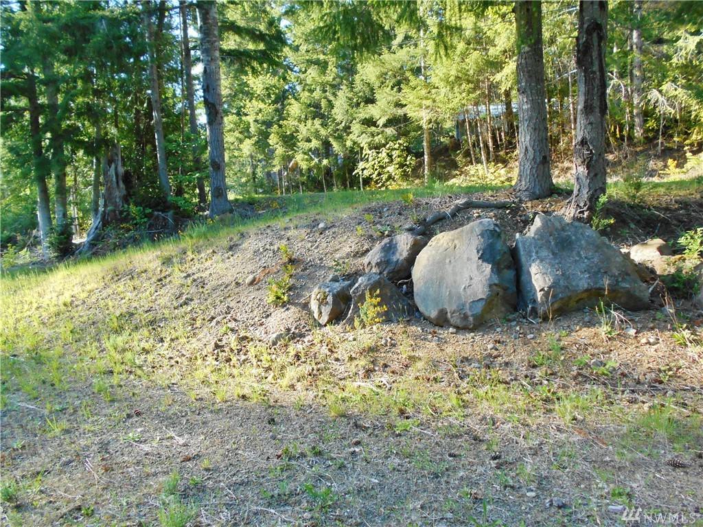 0 Trailwood Dr - Photo 1