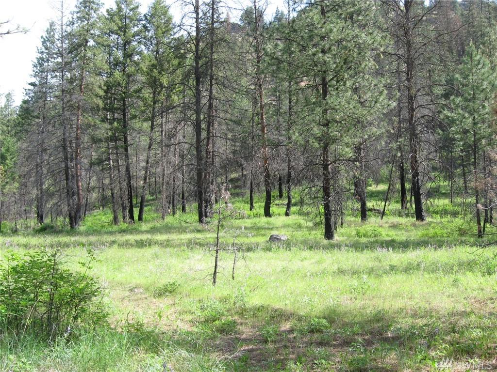 9999 East San Poil Rd - Photo 1