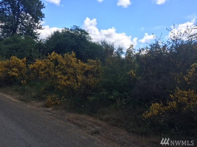 0 Meyer Lake Dr - Photo 1