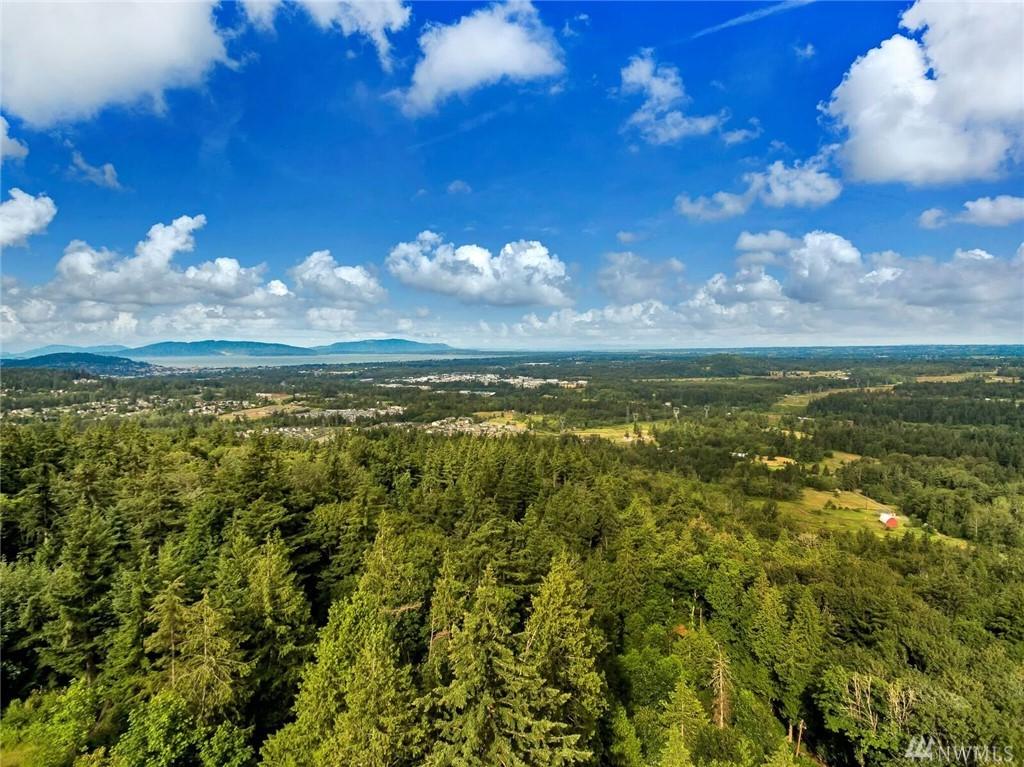 42 Brays Wy - Photo 1