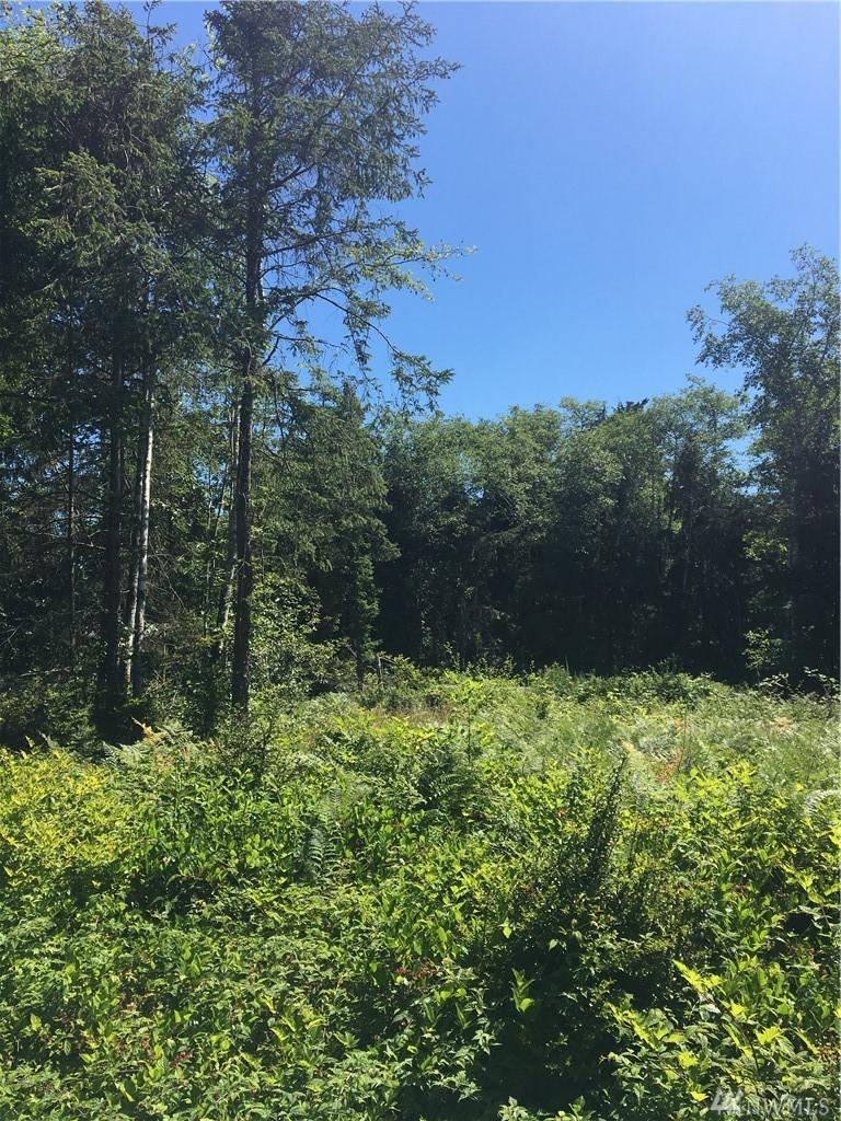 0-000 212th Place - Photo 1