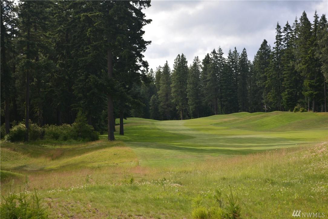 1430 Snowberry Lp - Photo 1