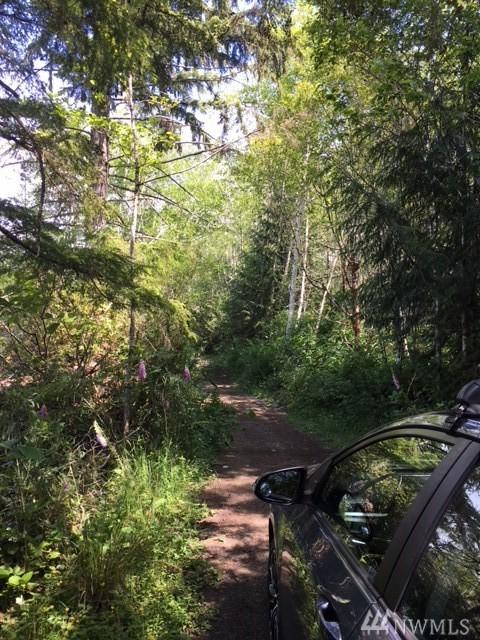 0-Track D, E Dayspring Rd - Photo 1