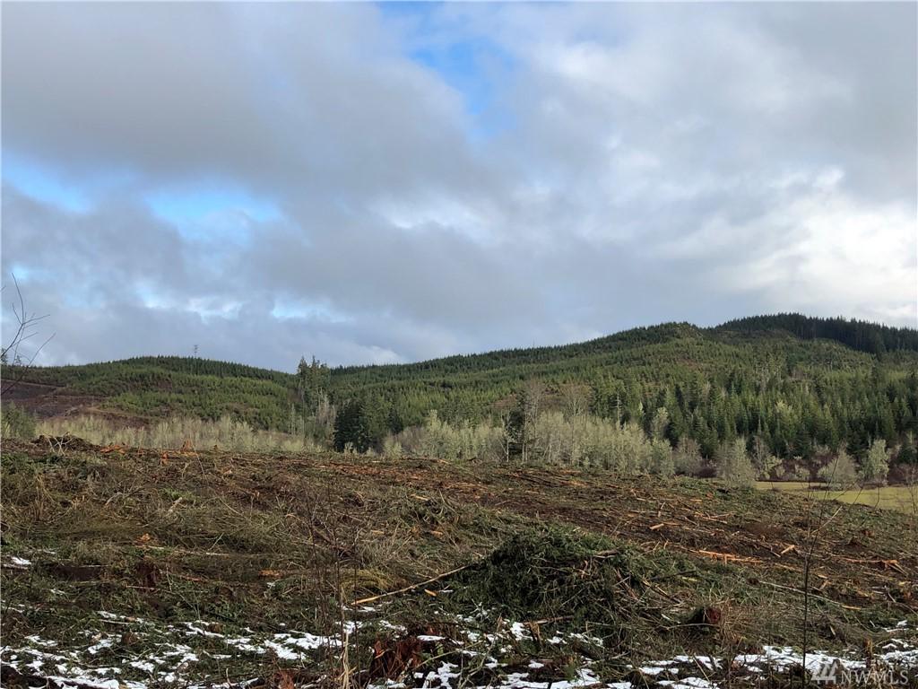 0 Bunker Creek Rd - Photo 1