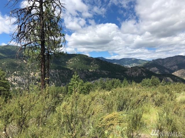 0-Tract 1A Bear Mountain Rd - Photo 1