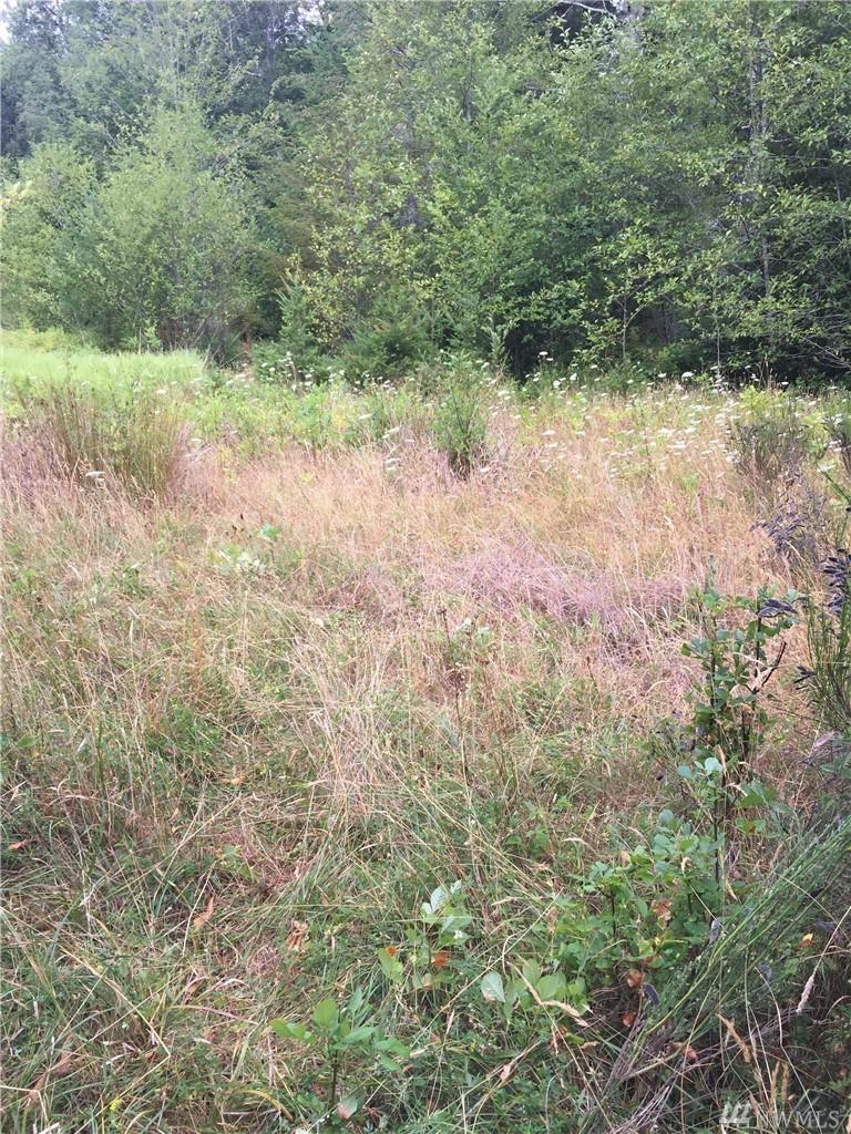 10 E Agate - Photo 1