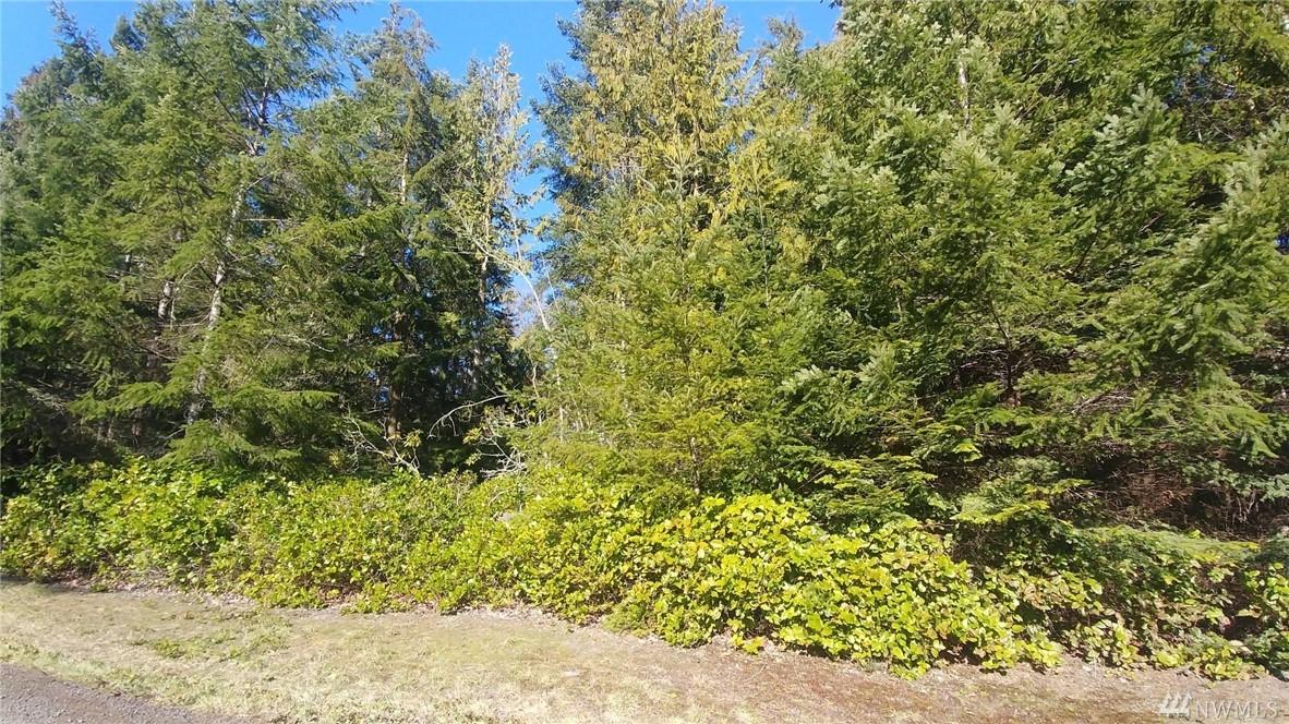 999 Antler Ct - Photo 1