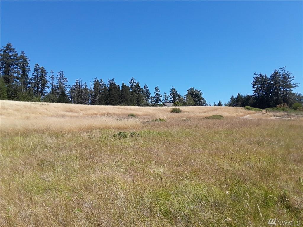 0-XXX Egg Lake Rd - Photo 1