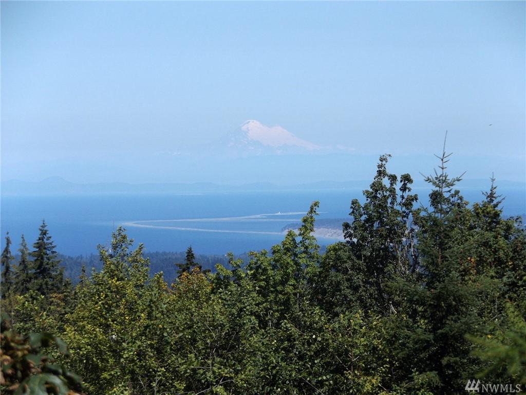 245 Scenic View Lane - Photo 1