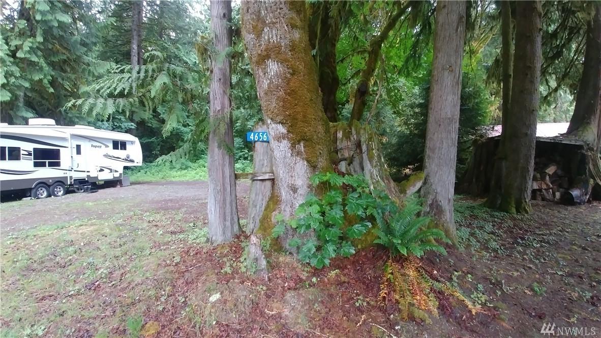 4656 Skagit Trail - Photo 1