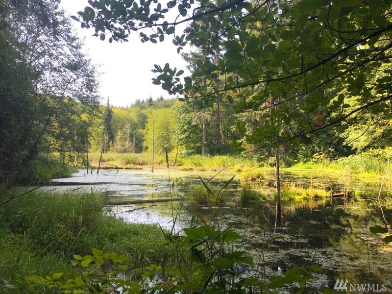 0 Tulin Rd - Photo 1
