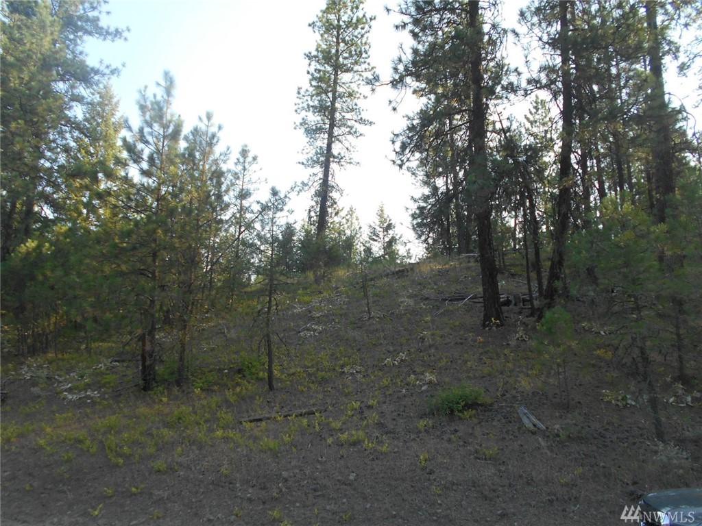 0-XXXX Indian Creek Rd - Photo 1