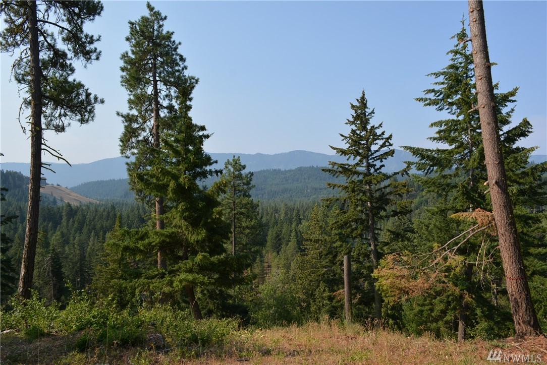 20 Kokanee Lp - Photo 1