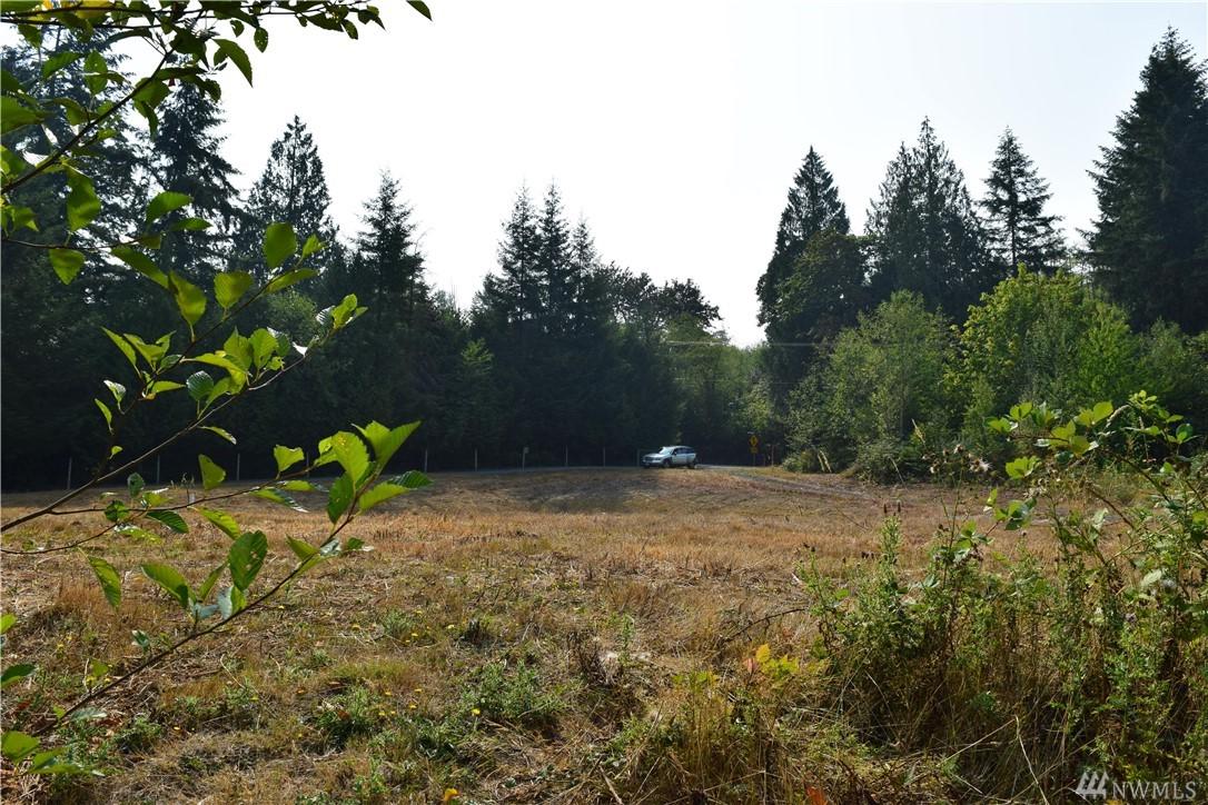 2235 Centralia Alpha Rd - Photo 1