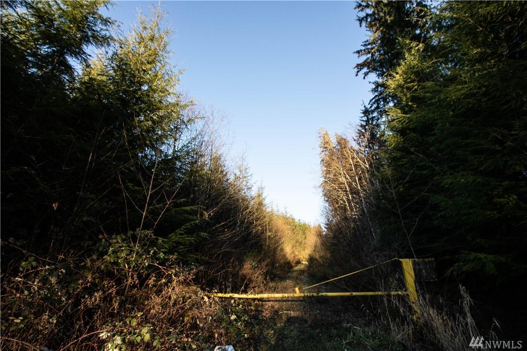 11-XX East Hoquiam Rd - Photo 1