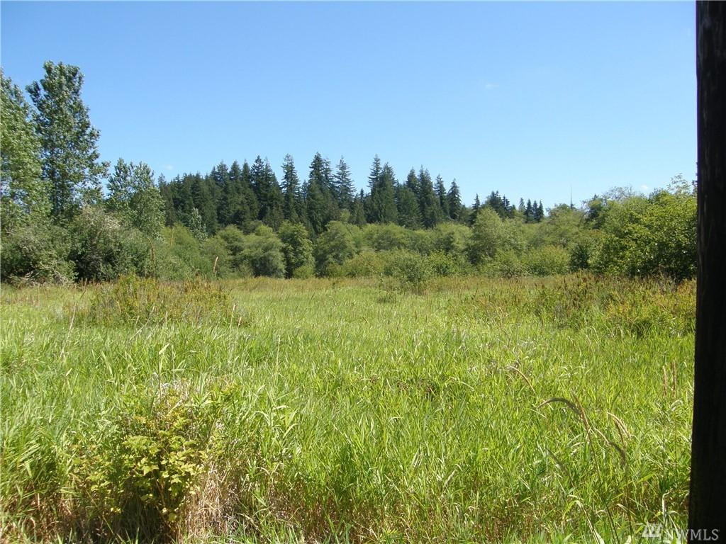 18-X Newman Creek Rd - Photo 1