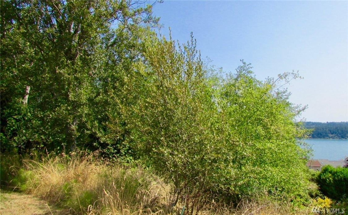 13-XX Sealawn Blvd - Photo 1