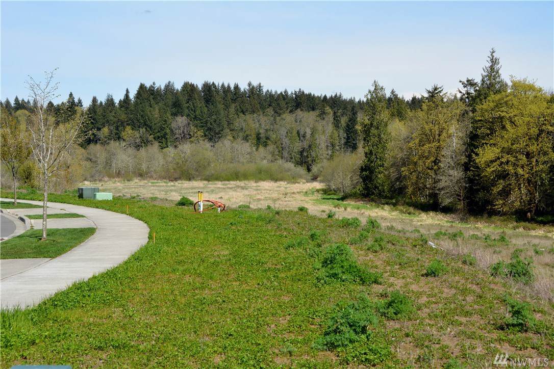 2111 79th Ave - Photo 1